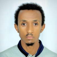 Yalem M.